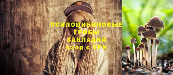 винт Покачи