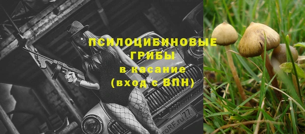 винт Покачи