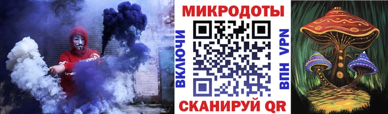 Галлюциногенные грибы Psilocybine cubensis  Апатиты 
