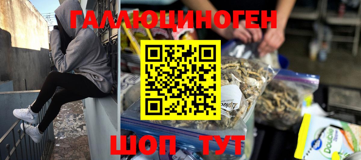 Псилоцибиновые грибы GOLDEN TEACHER Апатиты