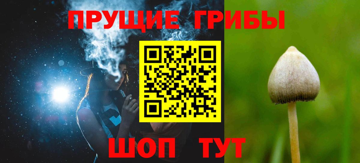 Галлюциногенные грибы мицелий  Вход с VPN  Апатиты 